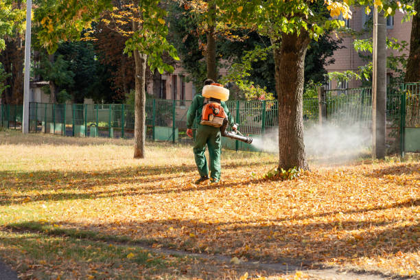 Best Pest Control Near Me in Sergeant Bluff, IA