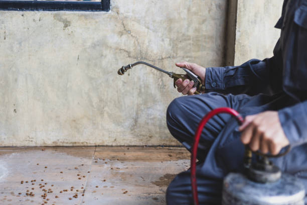 Best Affordable Pest Control Services  in Sergeant Bluff, IA